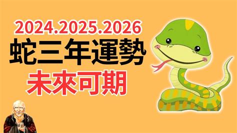 蛇年運程|蘇民峰2025生肖運程｜一文睇晒蛇年十二生肖整體運 